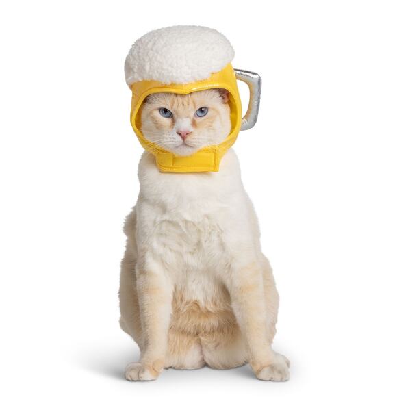 Thrills & Chills Beer Mug Headpiece Pet Hat Costume Halloween Dog Cat Size S/M - Picture 4 of 4